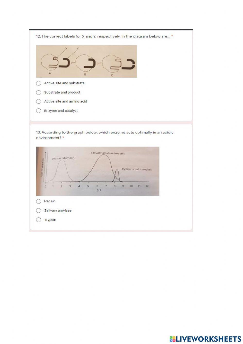 Gr 10 Chemistry of life