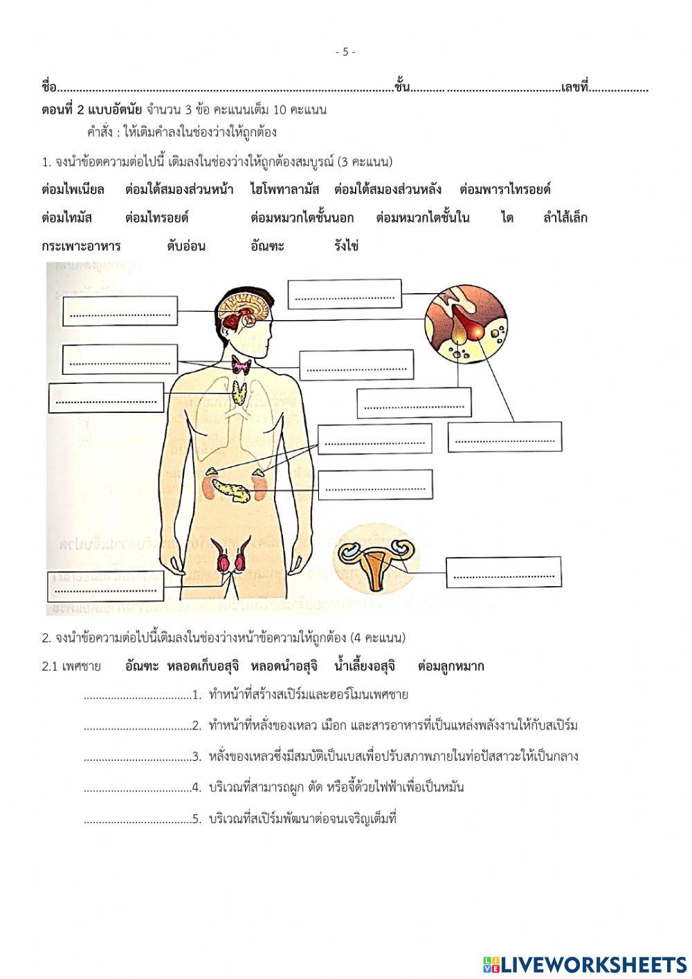 ข้อสอบปลายภาคเรียน วิชาชีววิทยา4 ม.6-1 เทอม1-2564