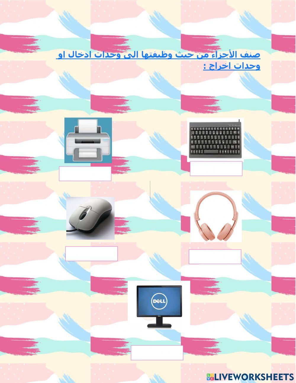 Input and output device interactive worksheet | Live Worksheets