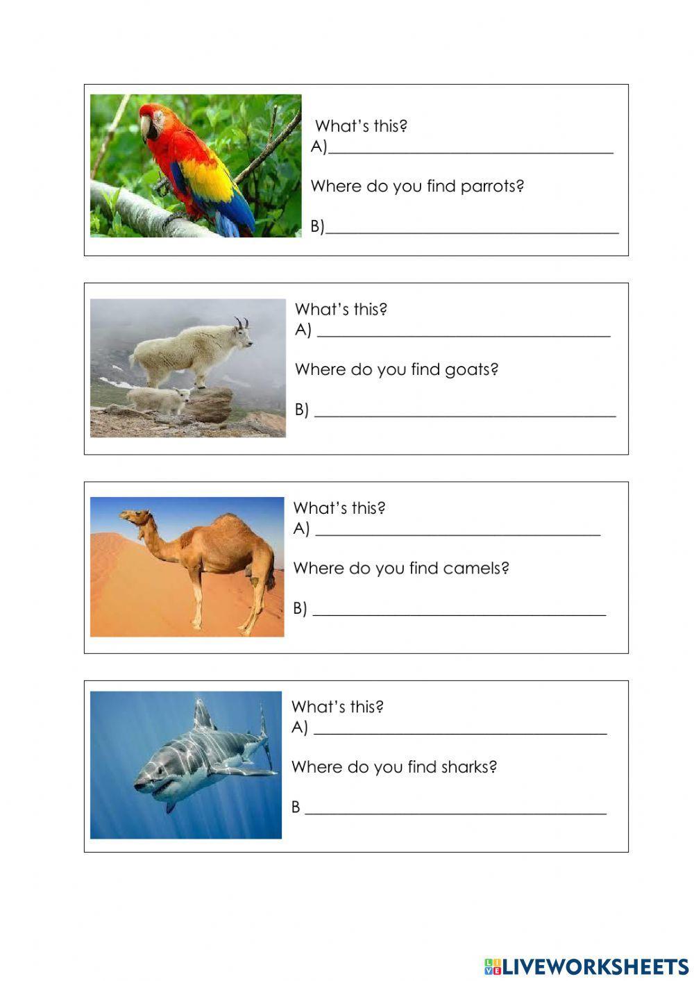 Habitats (supermind)