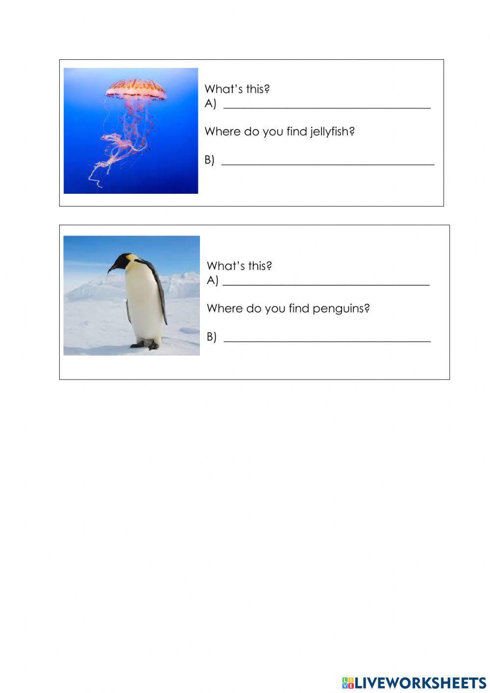 Habitats (supermind)