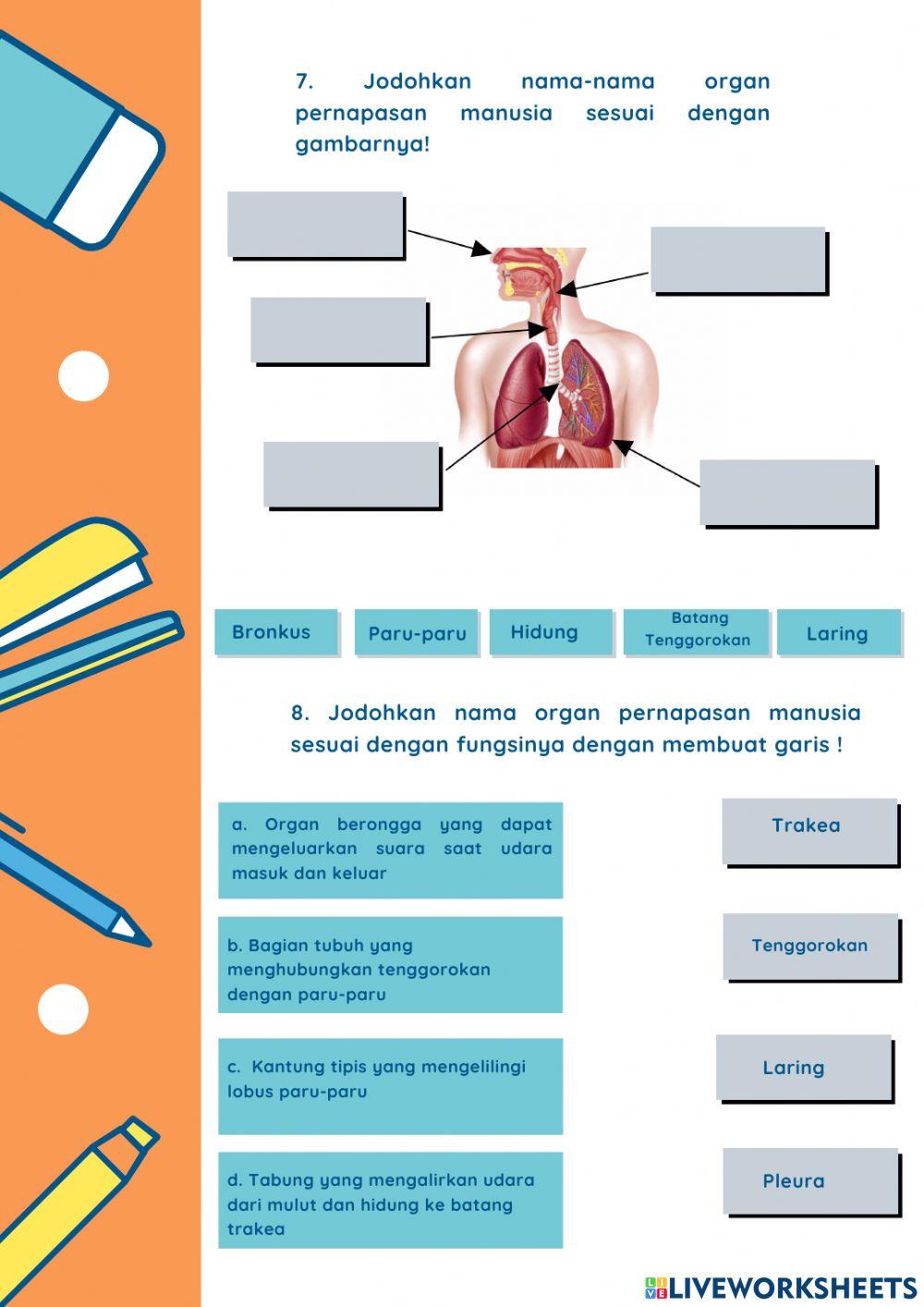 Lembar Kerja Peserta Didik Kelas V Tema 2