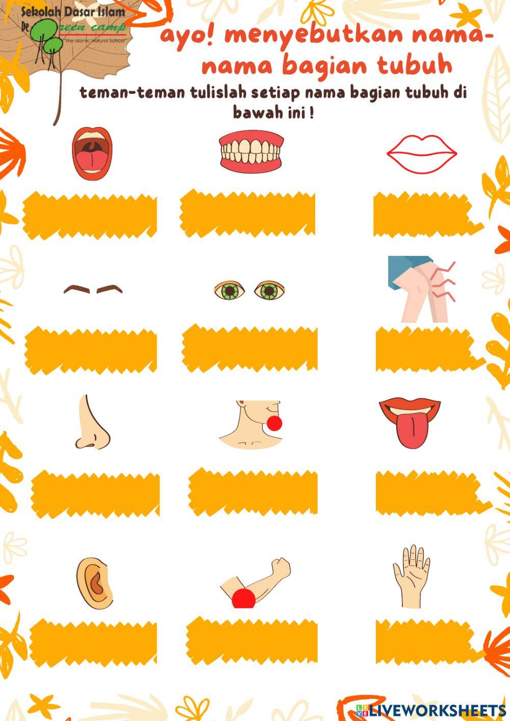 LKPD Mengingat Kembali Cara Menjaga tubuh (PJOK)