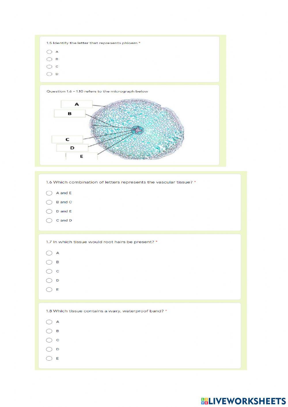 Topic 5: Support and transport systems in plants