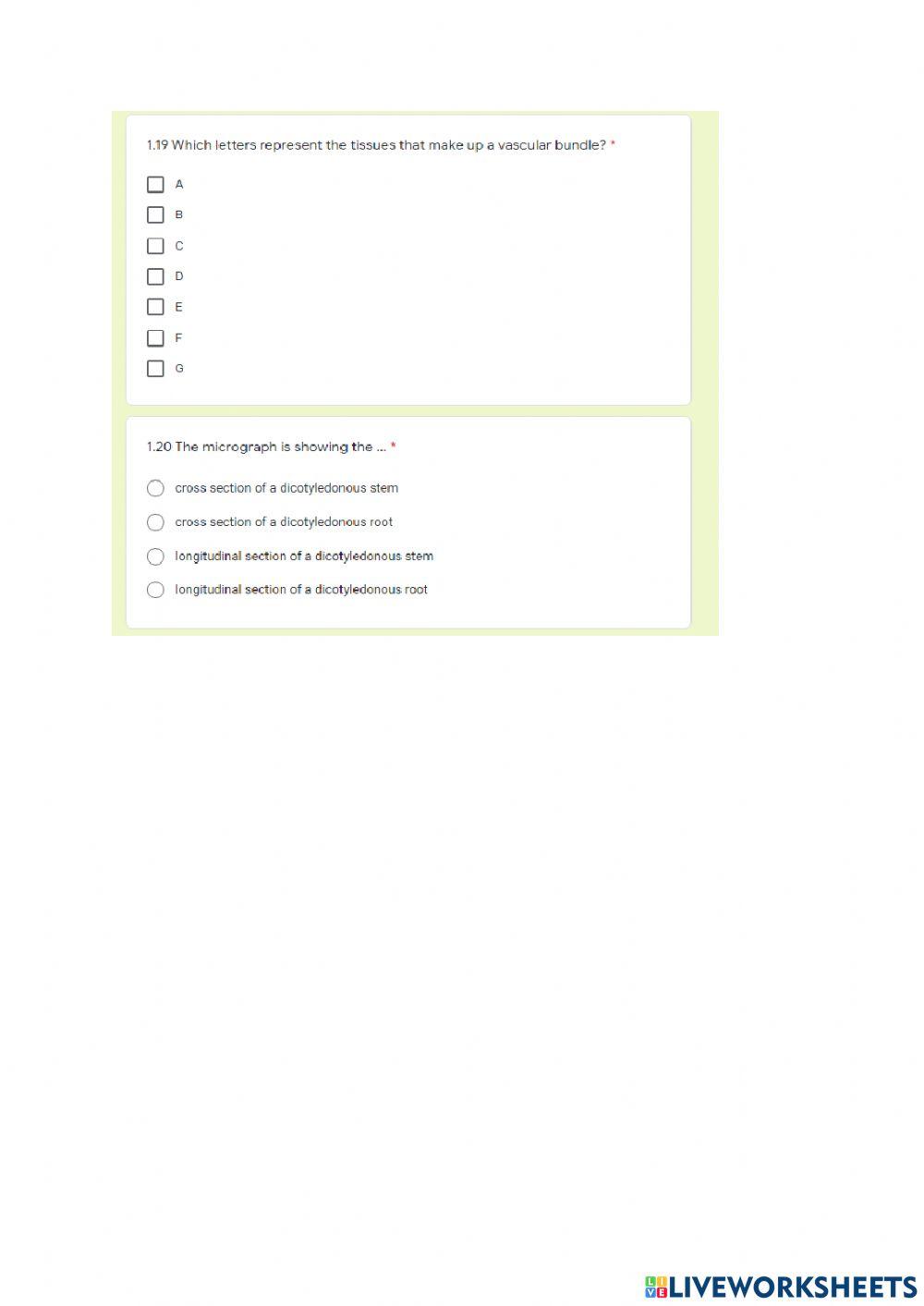 Topic 5: Support and transport systems in plants