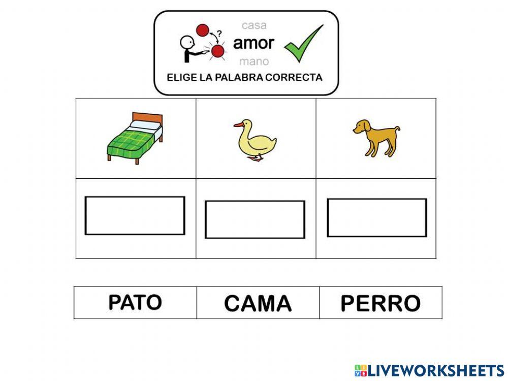Lectura global palabras Lectura global palabras