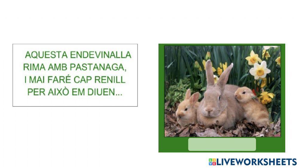Endevinalles