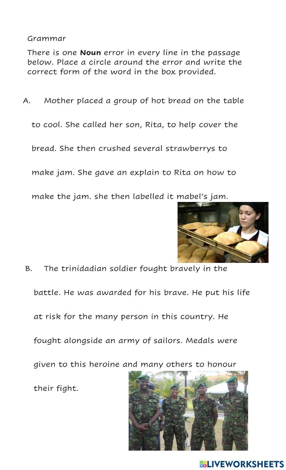 Grammartical Errors- Nouns