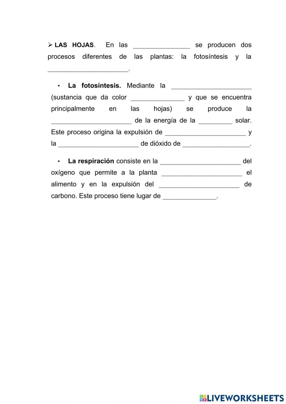 La nutrición de las plantas