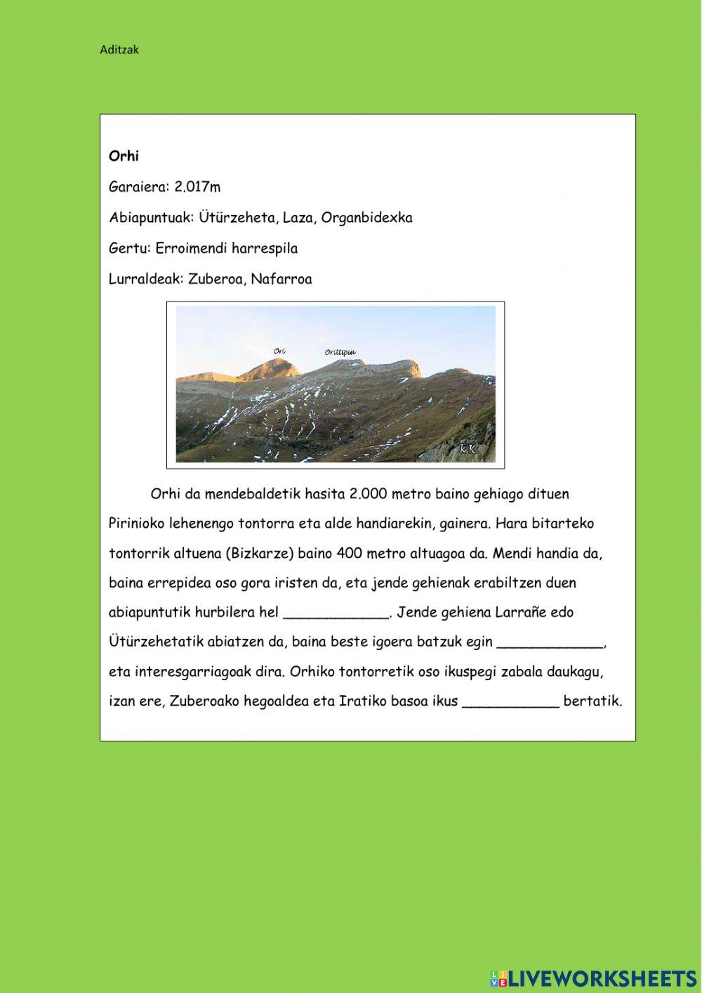 Mendian gora haritza..