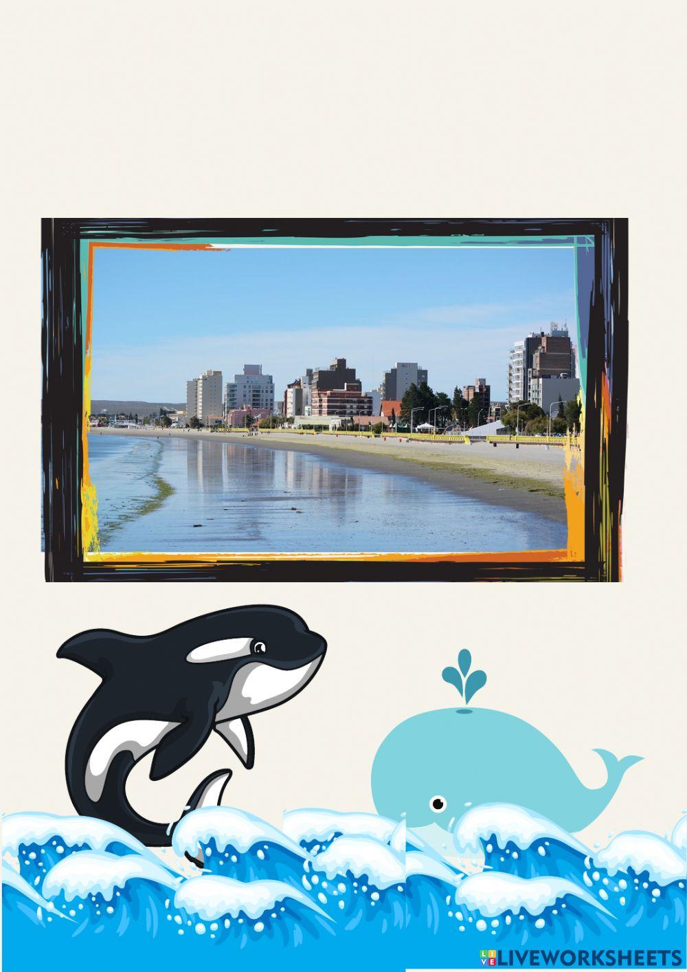 Las partes de la carta