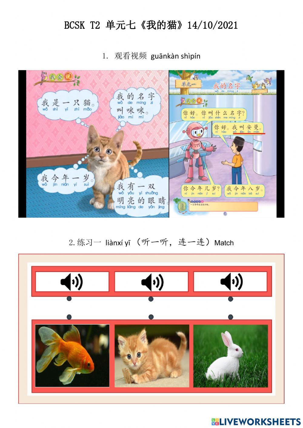 Bcsk t2 单元七《我的猫》