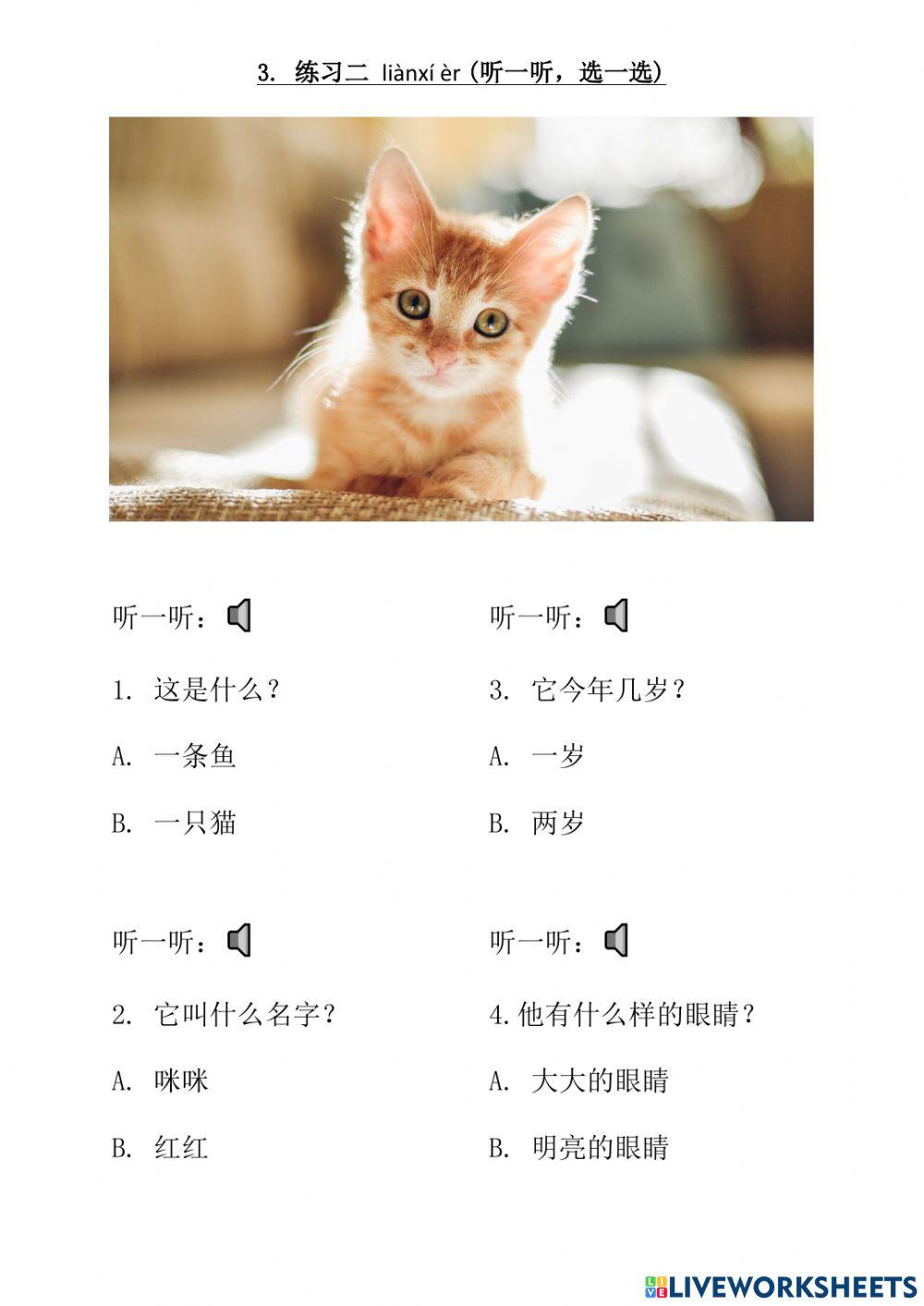 Bcsk t2 单元七《我的猫》