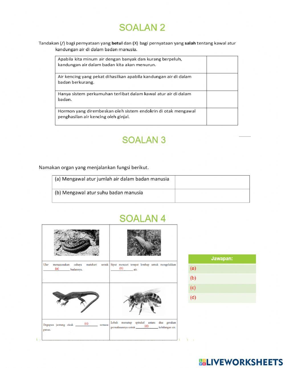 Koordinasi dan Gerak Balas