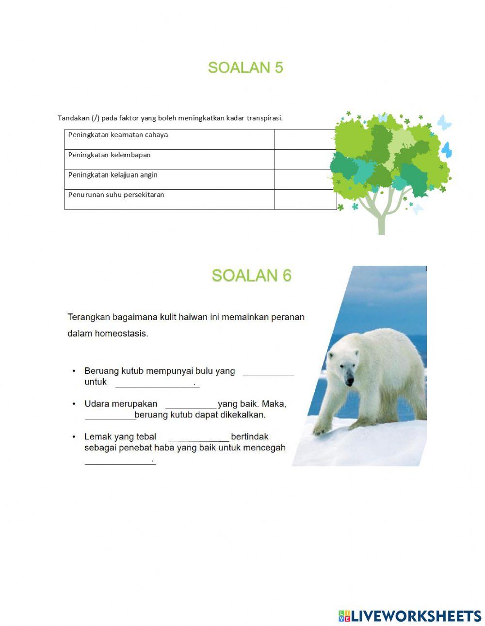 Koordinasi dan Gerak Balas