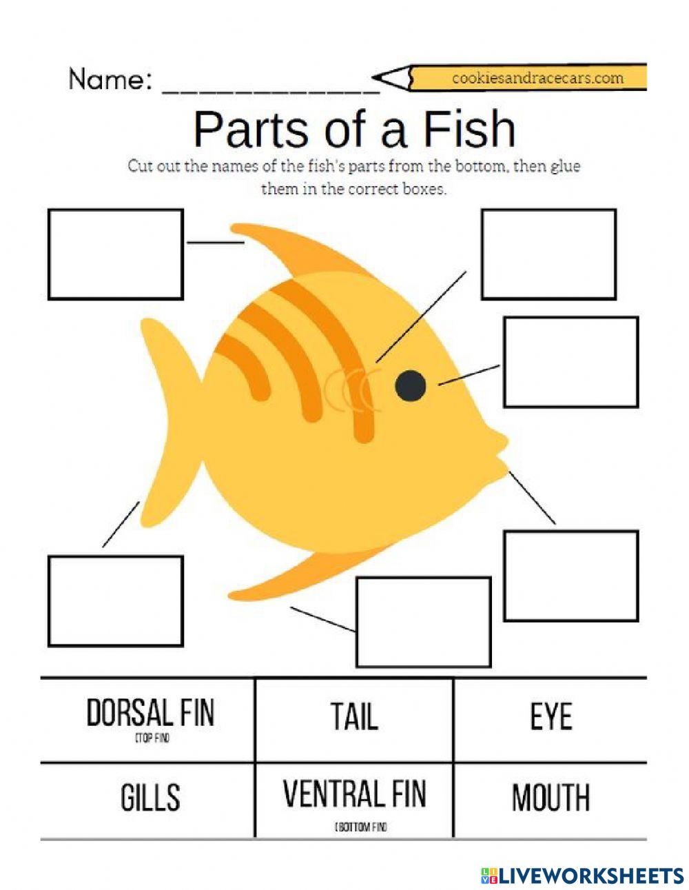 Parts of the Fish