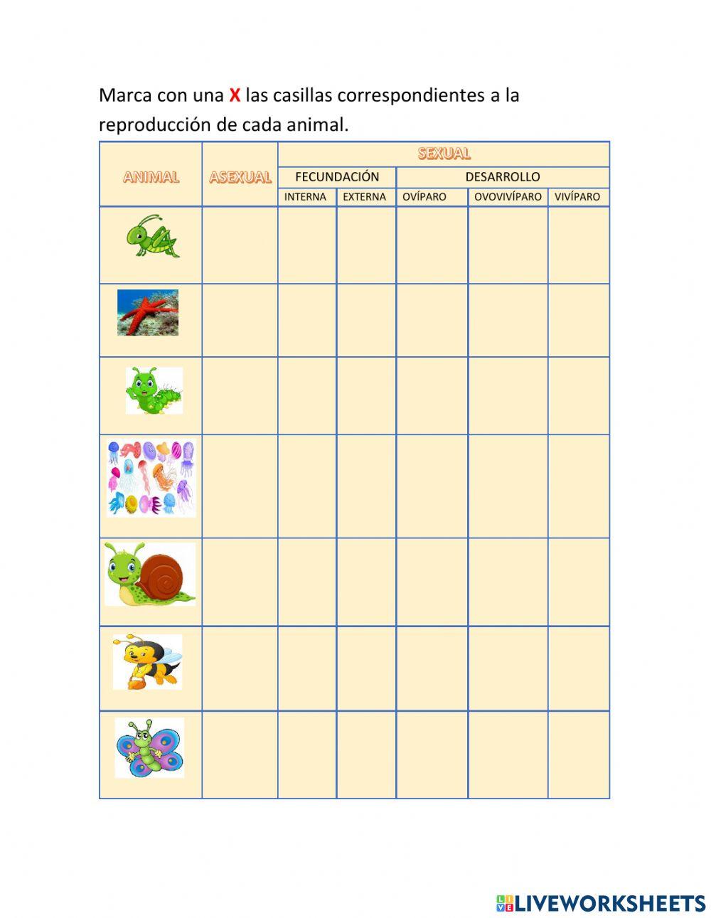 Reproducción animales invertebrados