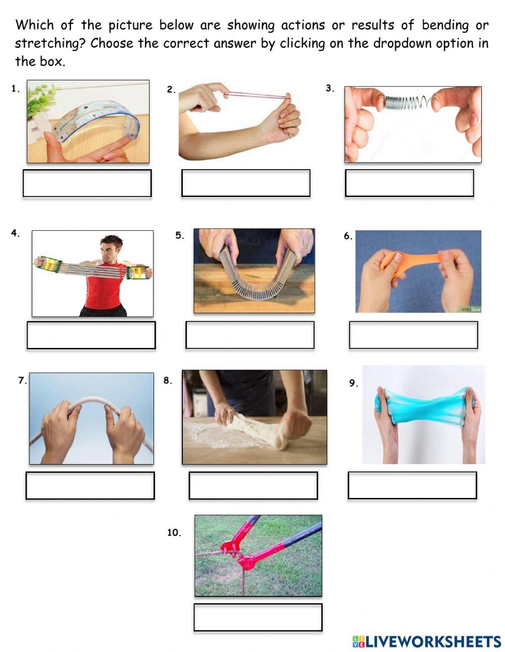 Bend and stretch worksheet online exercise for live worksheets