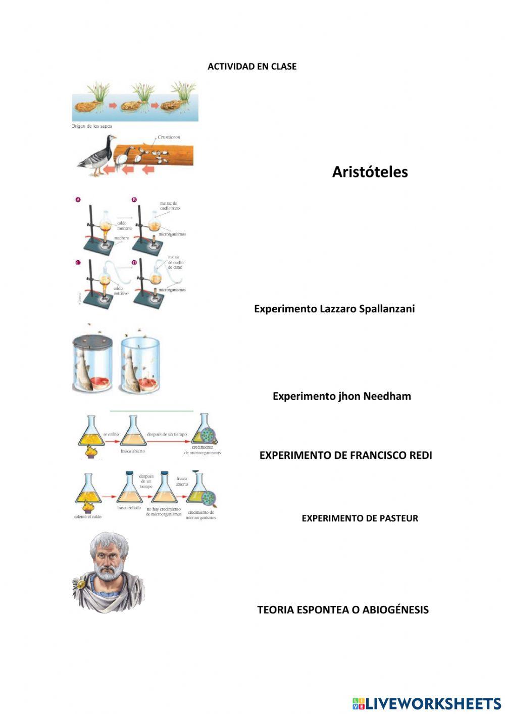 Teoría origen de la vida