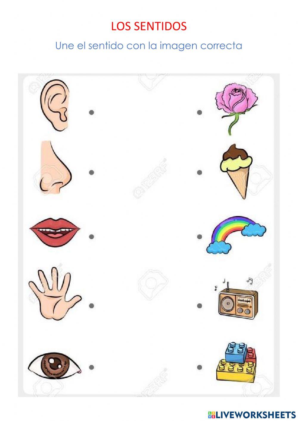 Órgano de los sentidos