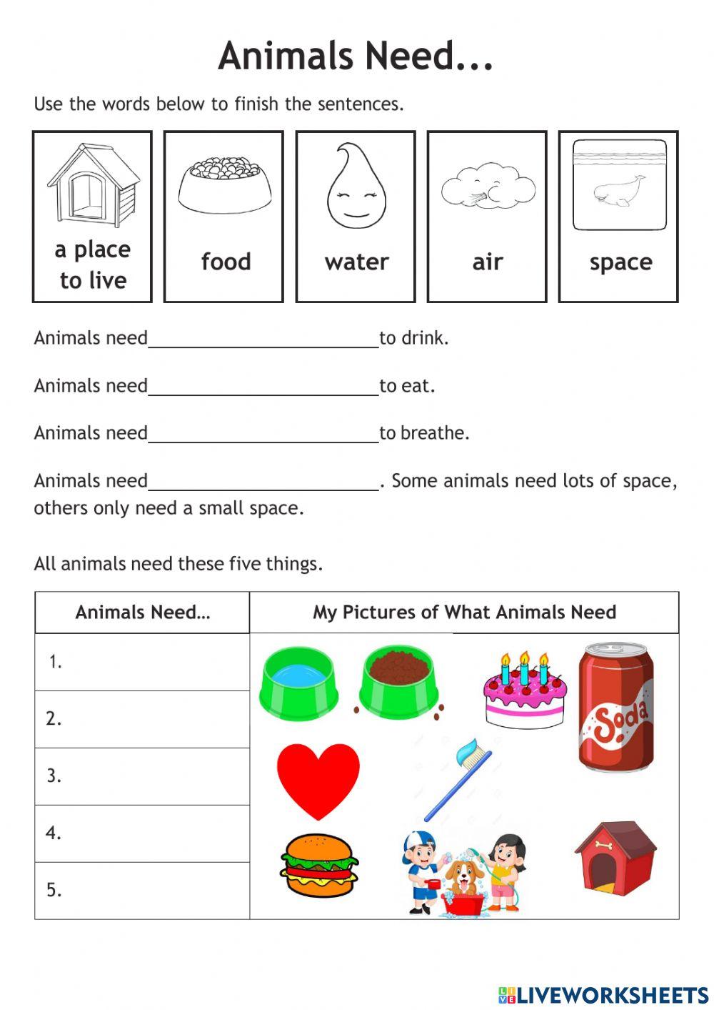 Pets and their needs worksheet | Live Worksheets