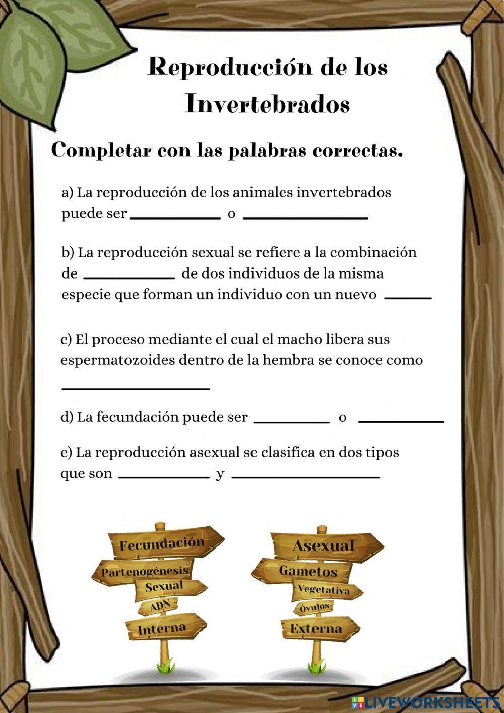 Reproducción Invertebrados