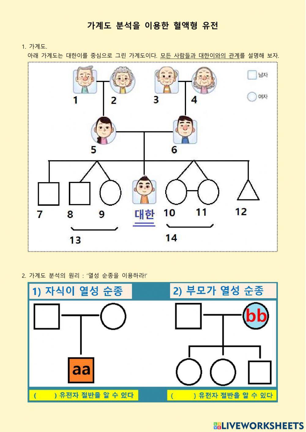 가계도 분석을 이용한, 혈액형 유전