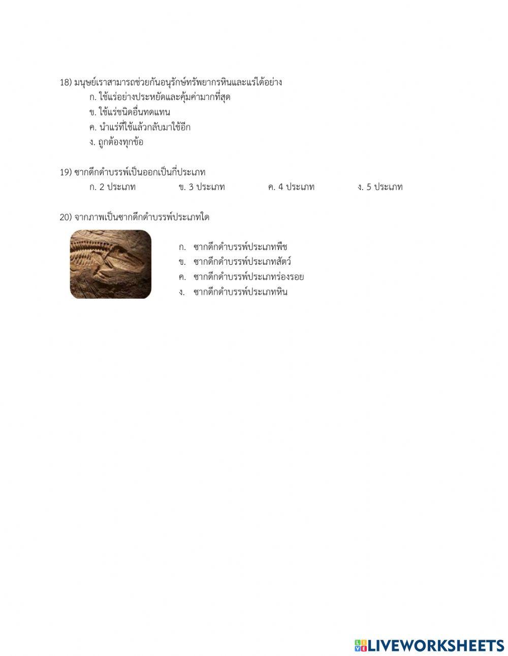 ป6-แบบทดสอบ-หน่วยที่ 3-เรื่องหินและซากดึกดำบรรพ์