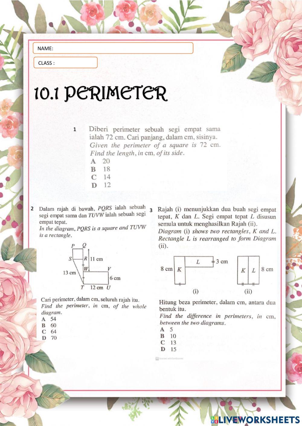 10.1 perimeter