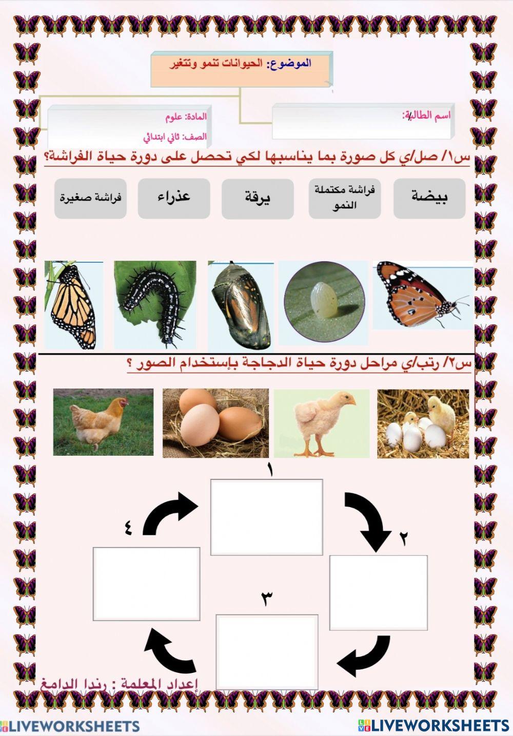 الحيوانات تنمو وتتغير