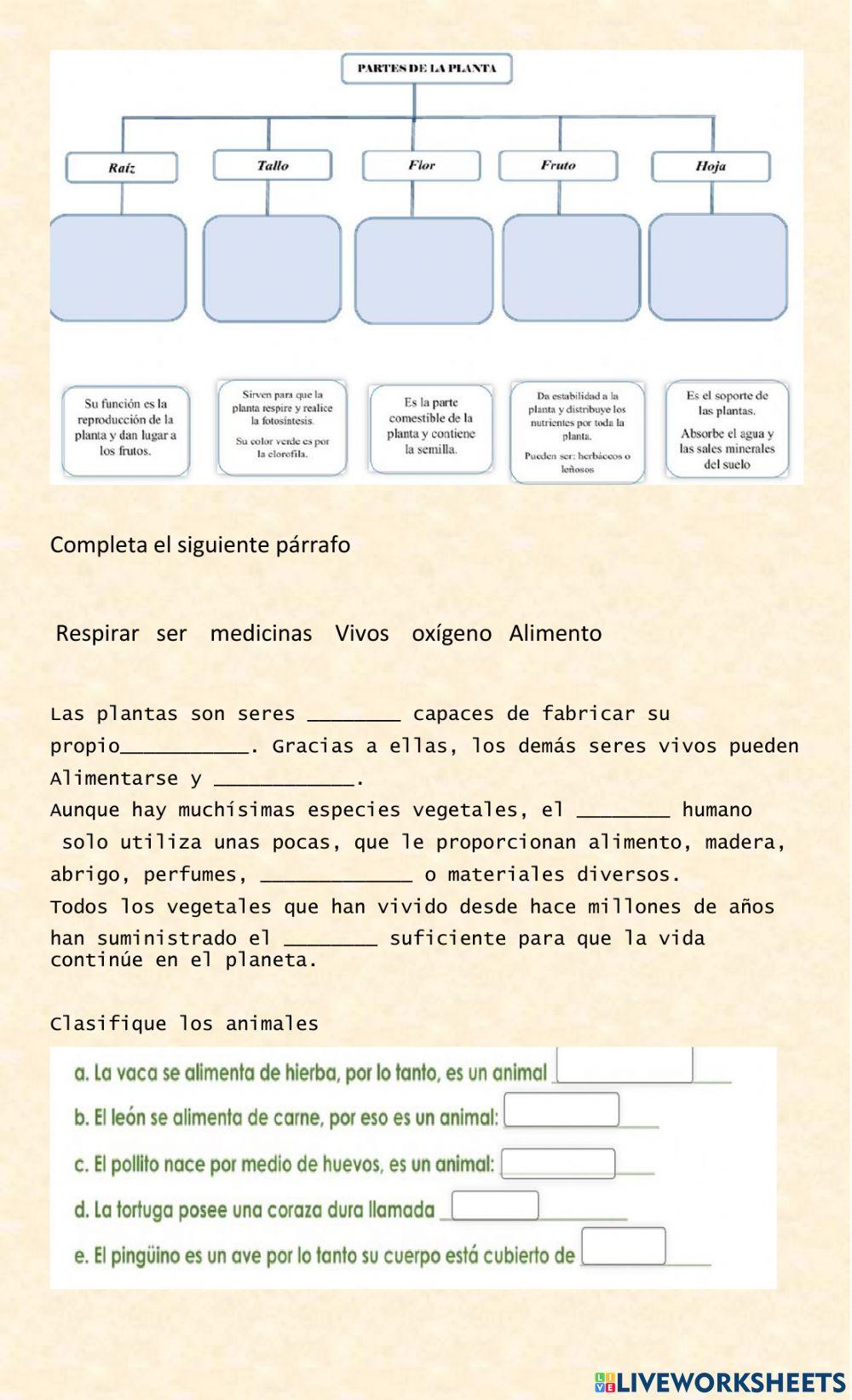 Recuperacion primer parcial