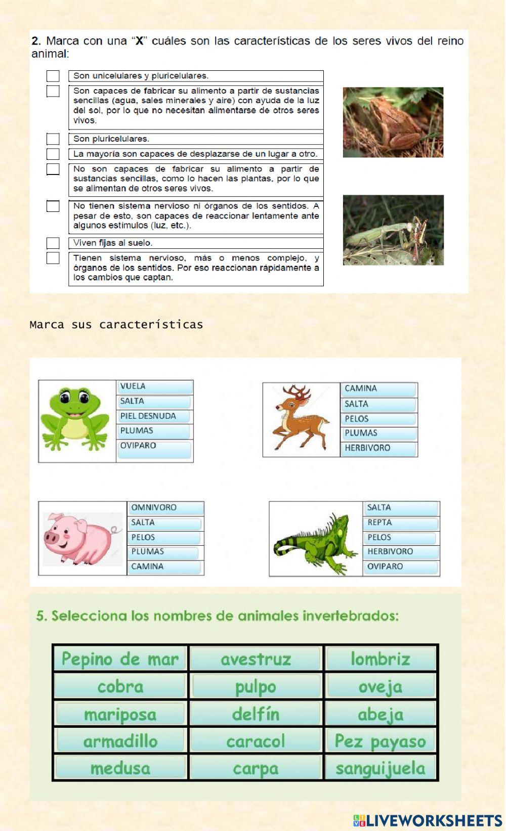 Recuperacion primer parcial