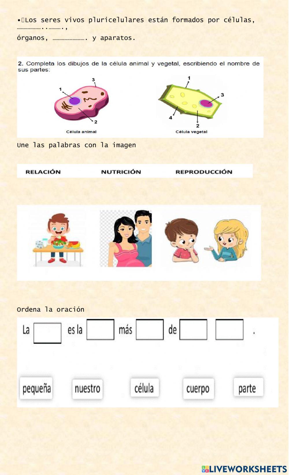 Recuperacion primer parcial