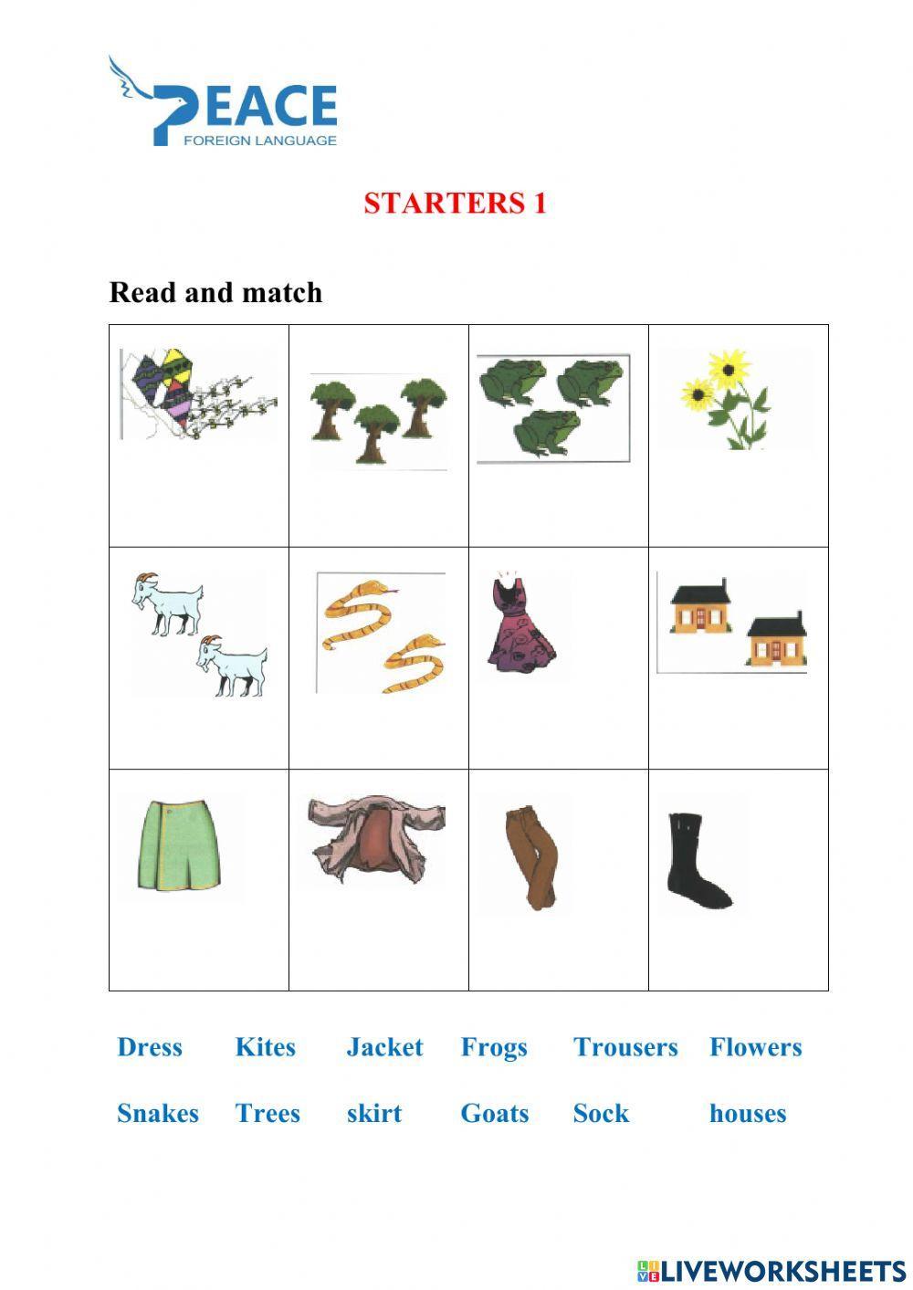 Starters 1 worksheet Live Worksheets