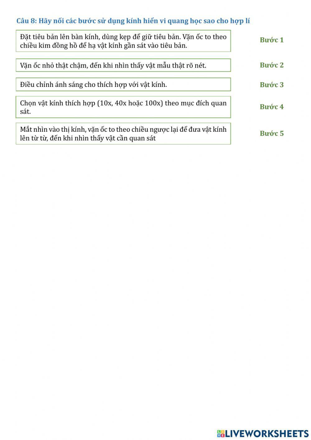 KHTN 6-Tổng kết 1,2,3,4