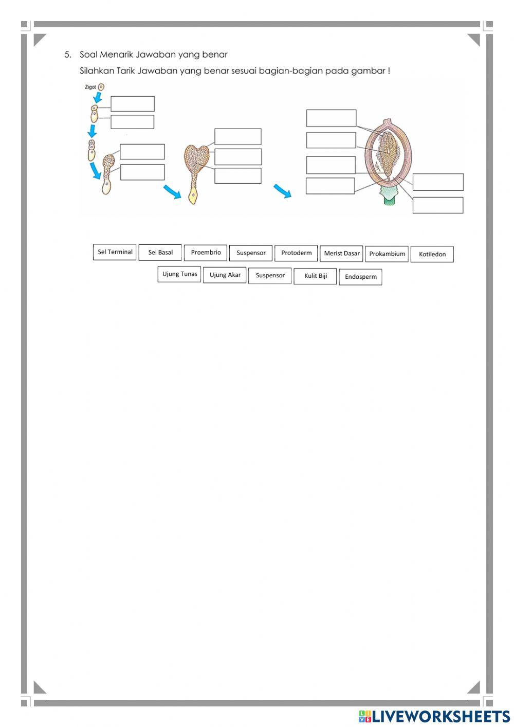 LKPD interaktif-KD 3.5