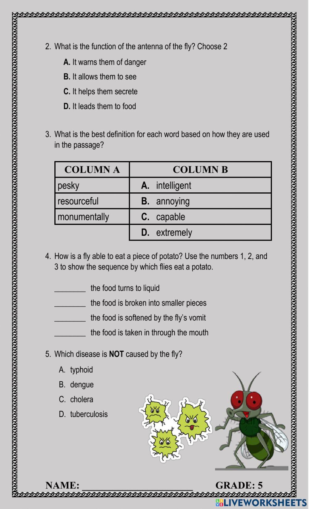 The Hateful Housefly