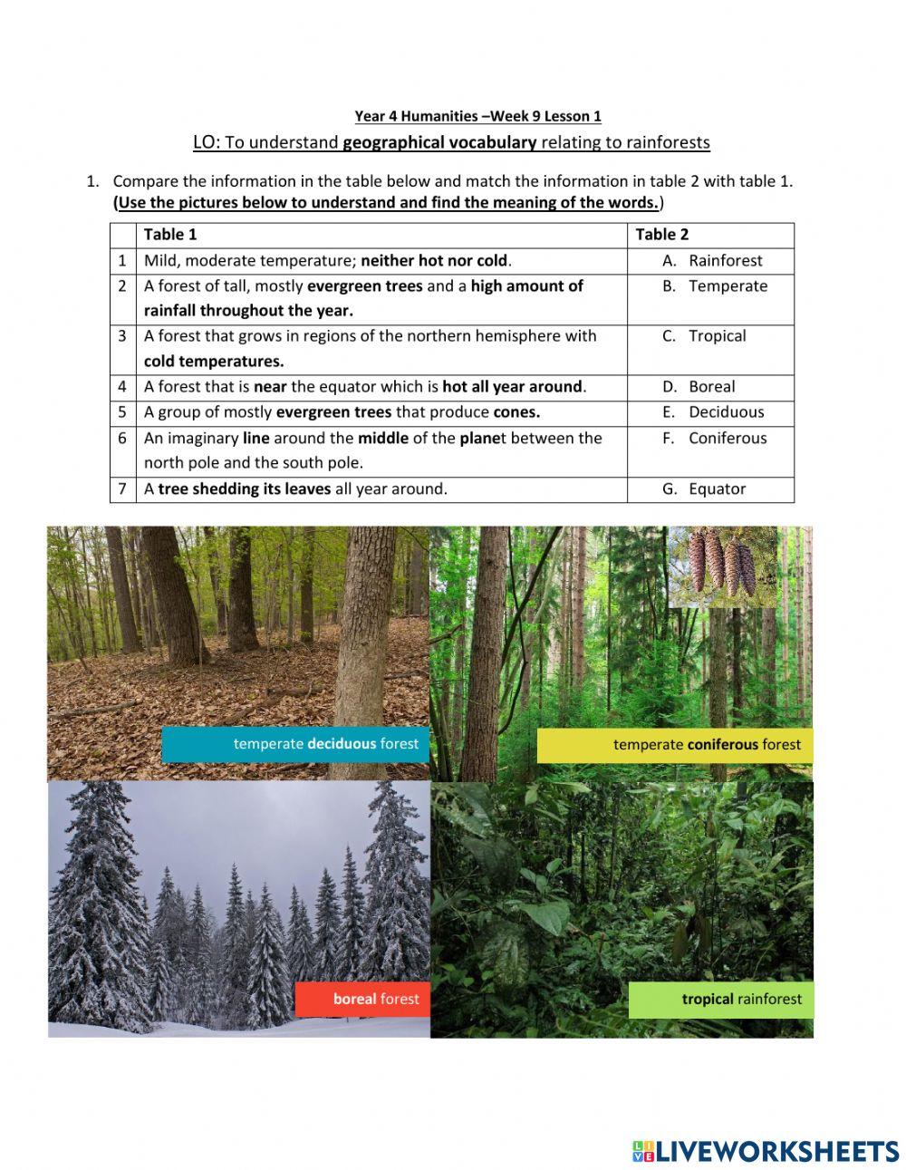 Humanities week 9 Lesson 1