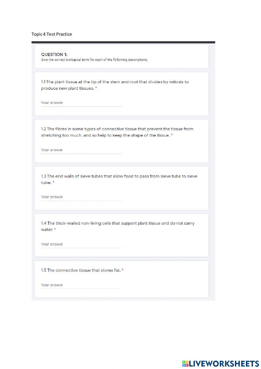 Topic 4 Test Practice