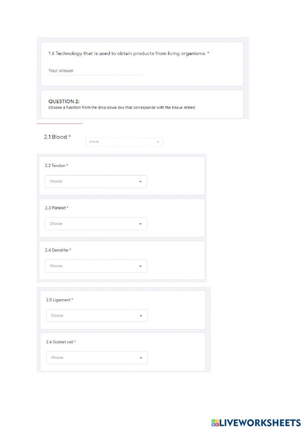 Topic 4 Test Practice