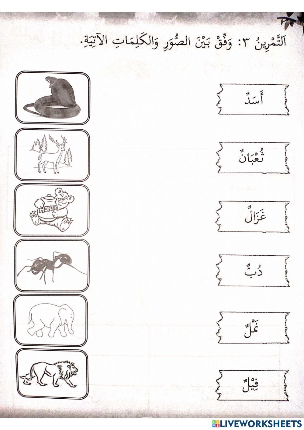 Kafa : الحيوانات (binatang dalam bahasa arab) tahun 3