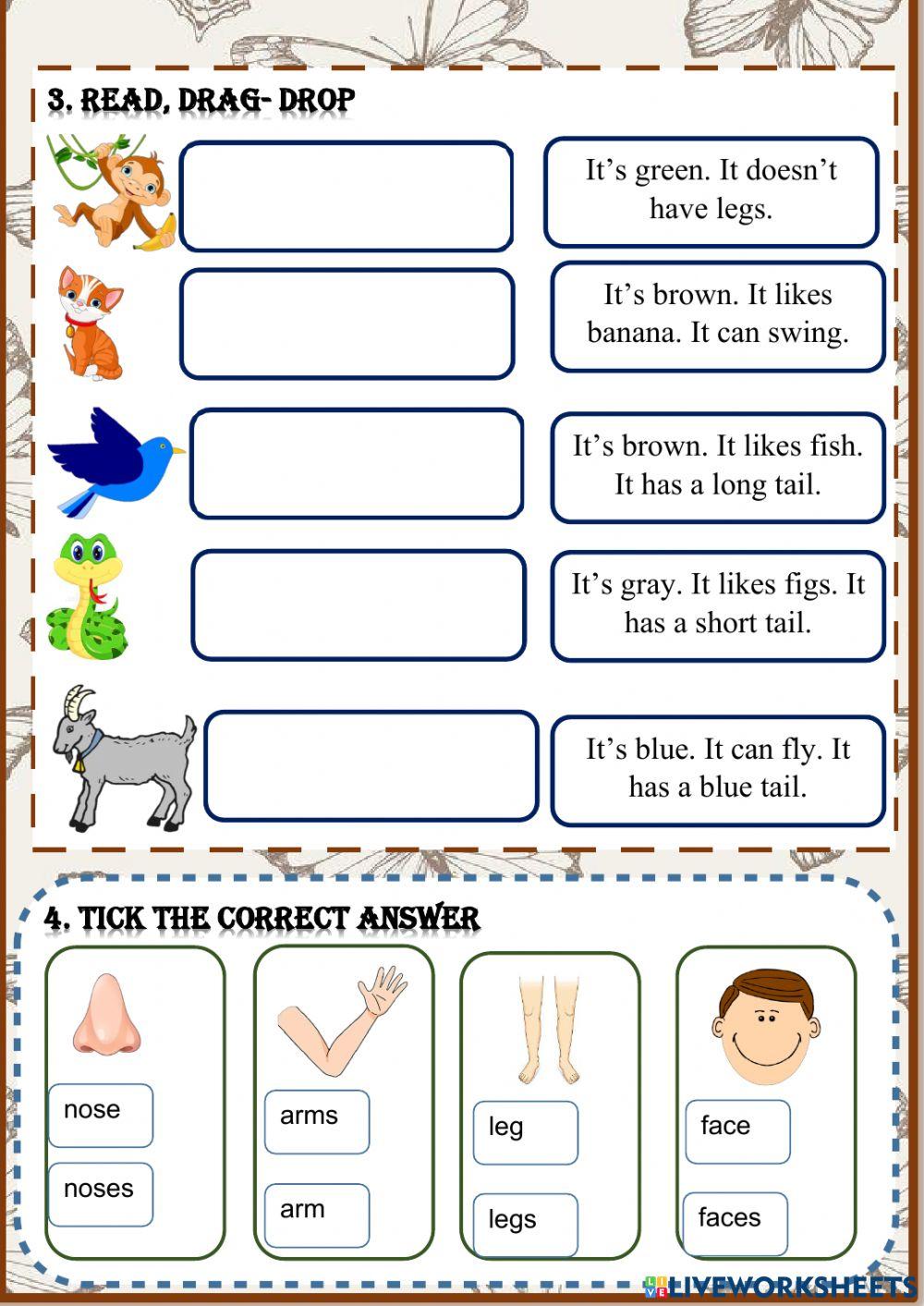 Family and Friends Grade 3