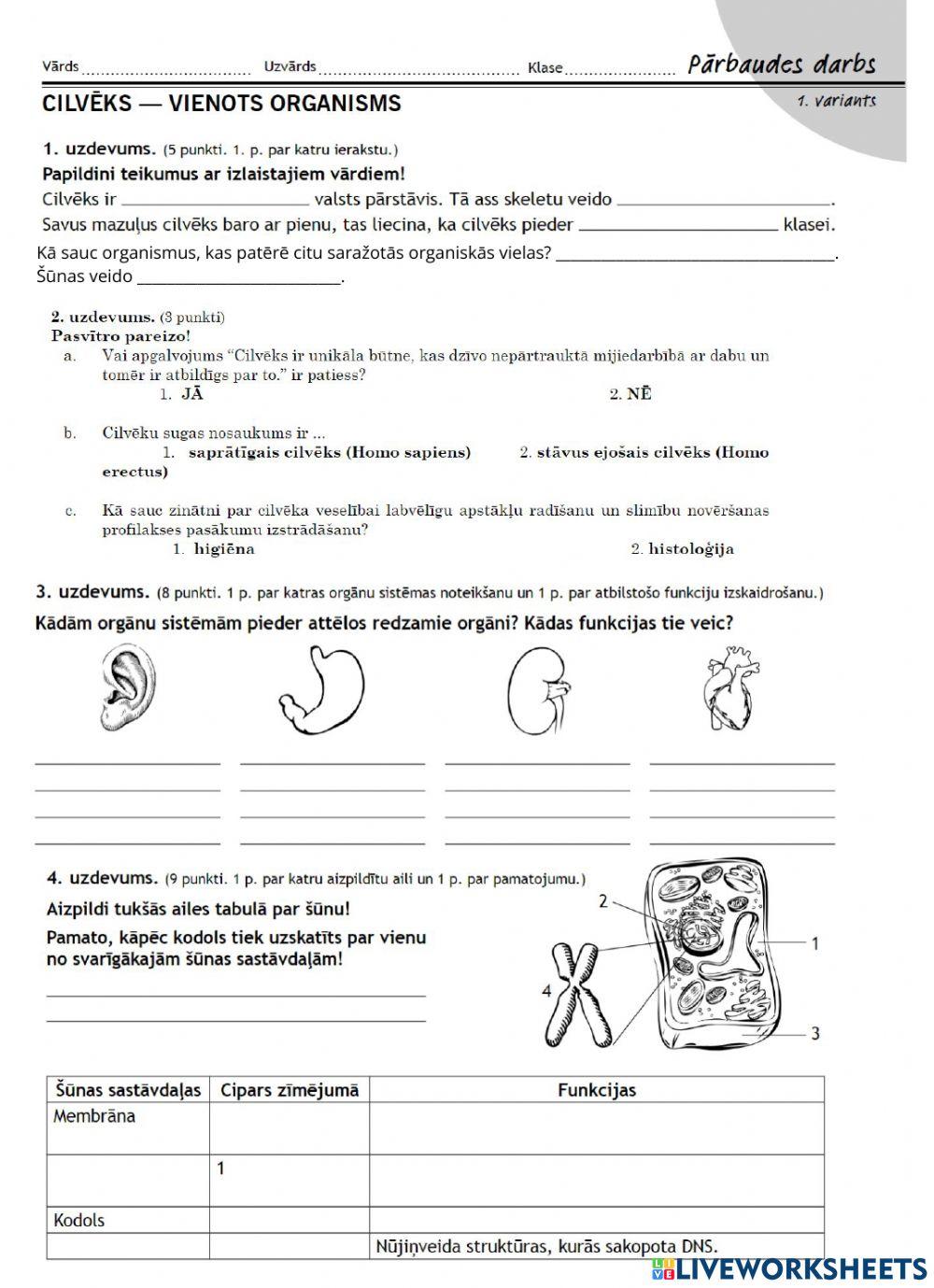 Pārbaudes darbs -Cilvēks vienots organisms-