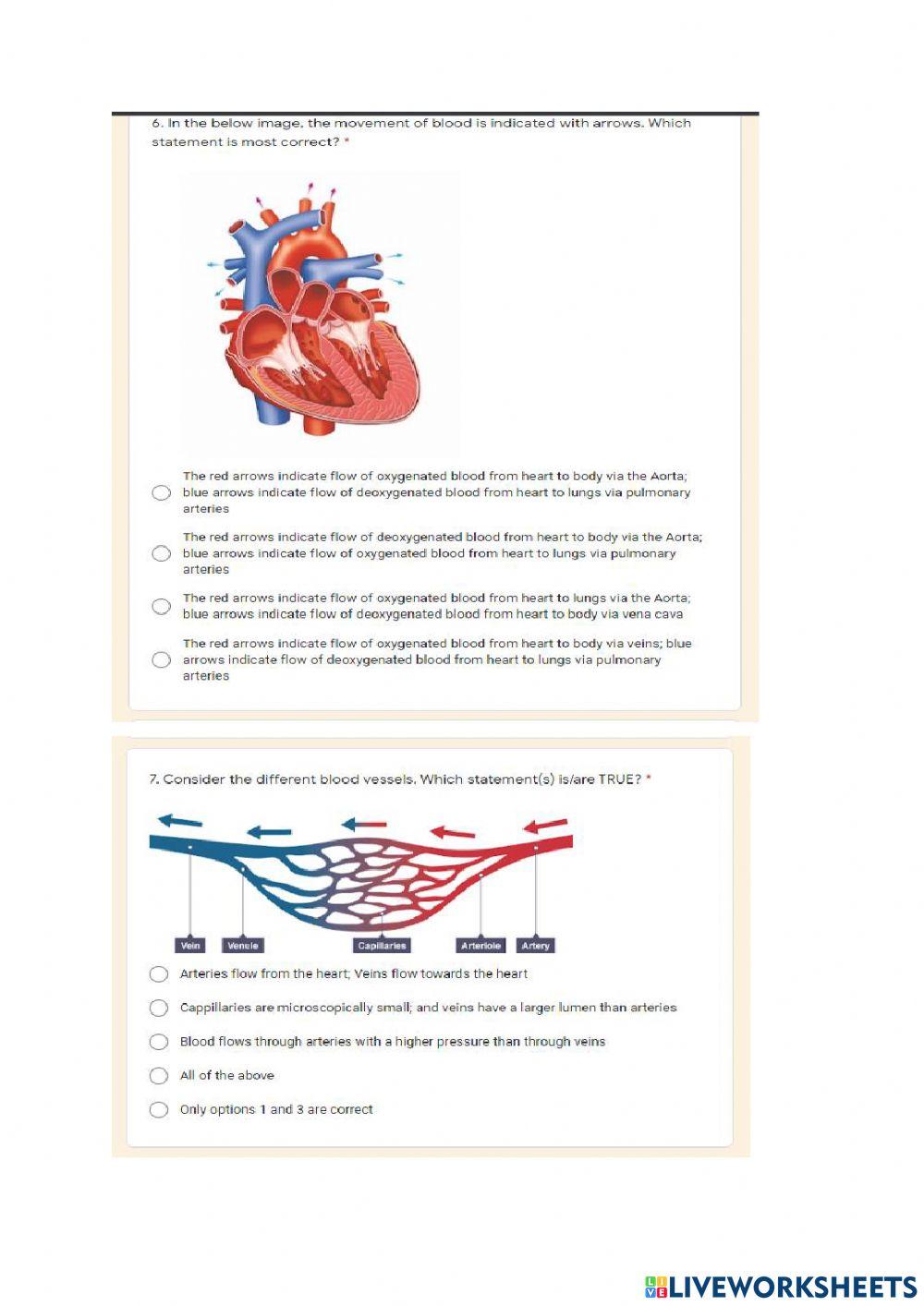 Gr 10 Transport in mammals
