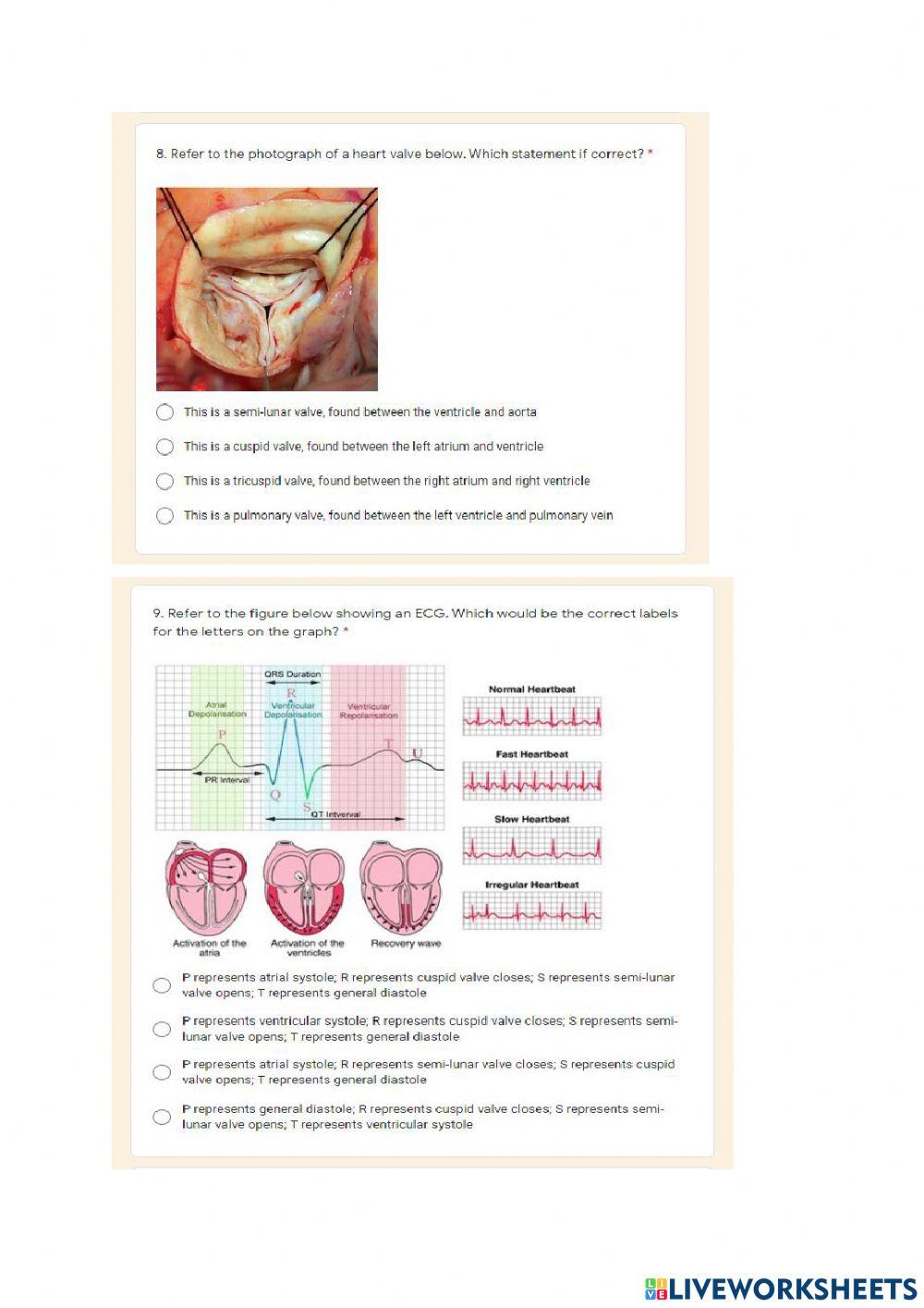 Gr 10 Transport in mammals