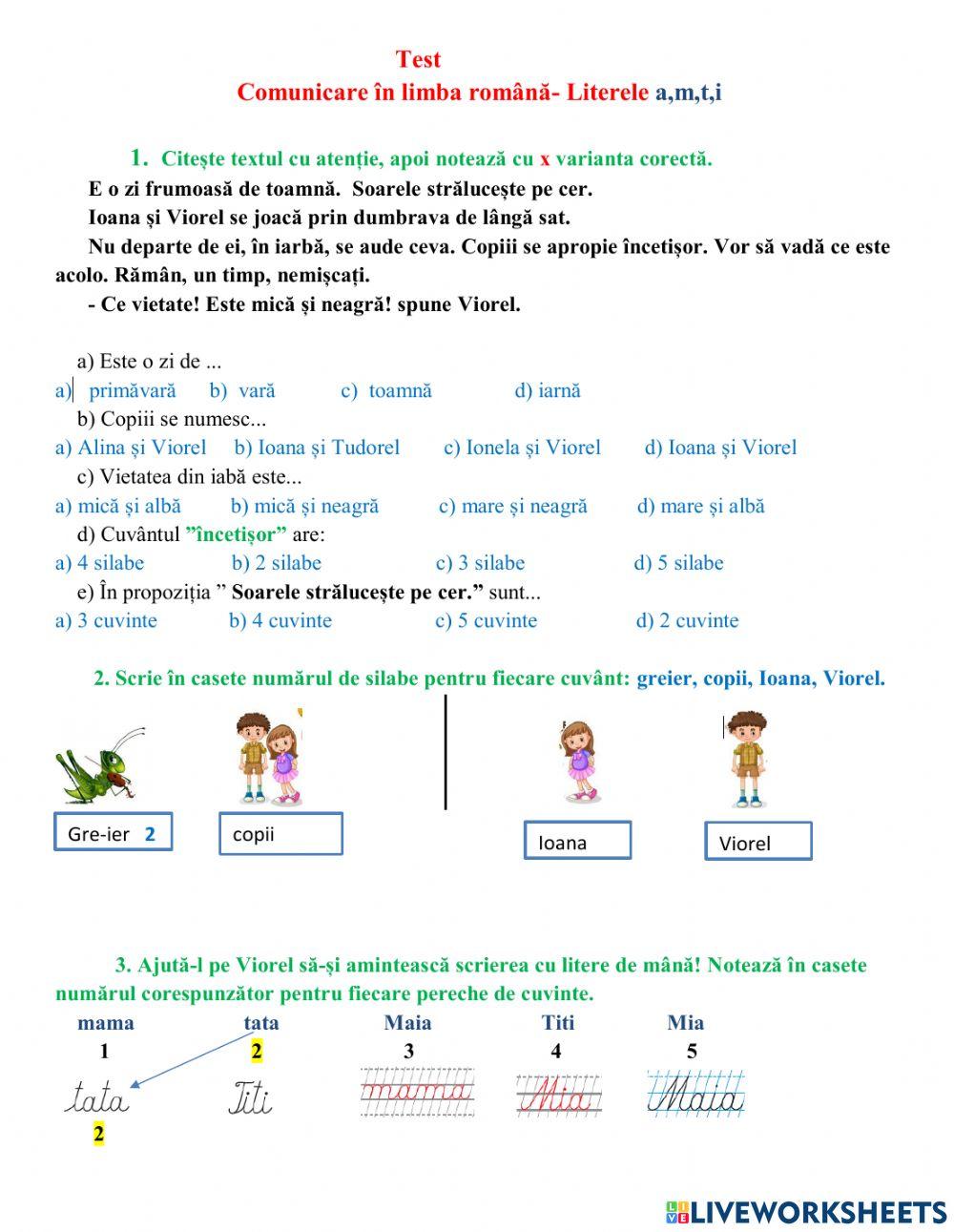 Evaluare sumativă amti
