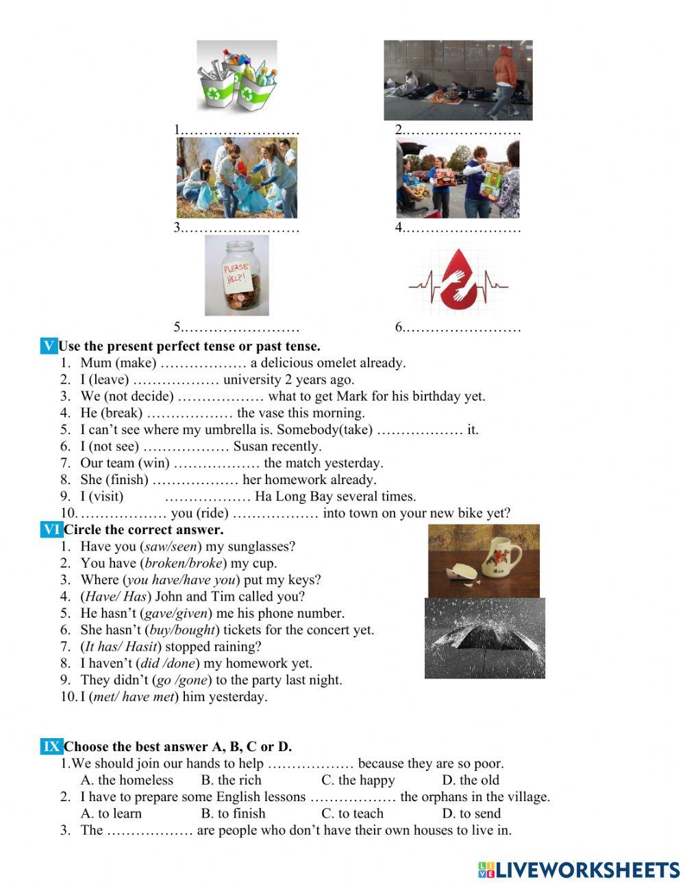 Unit 3: Community service (Vocabulary)