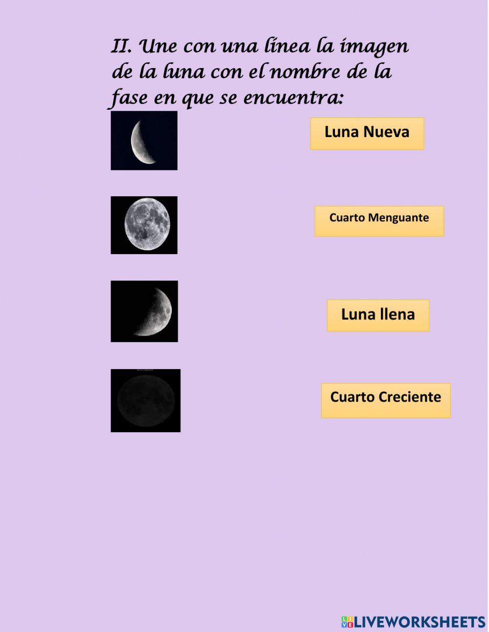 Las Fases de la Luna