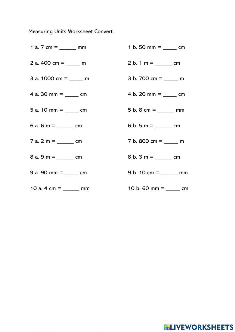 Measurement Worksheet