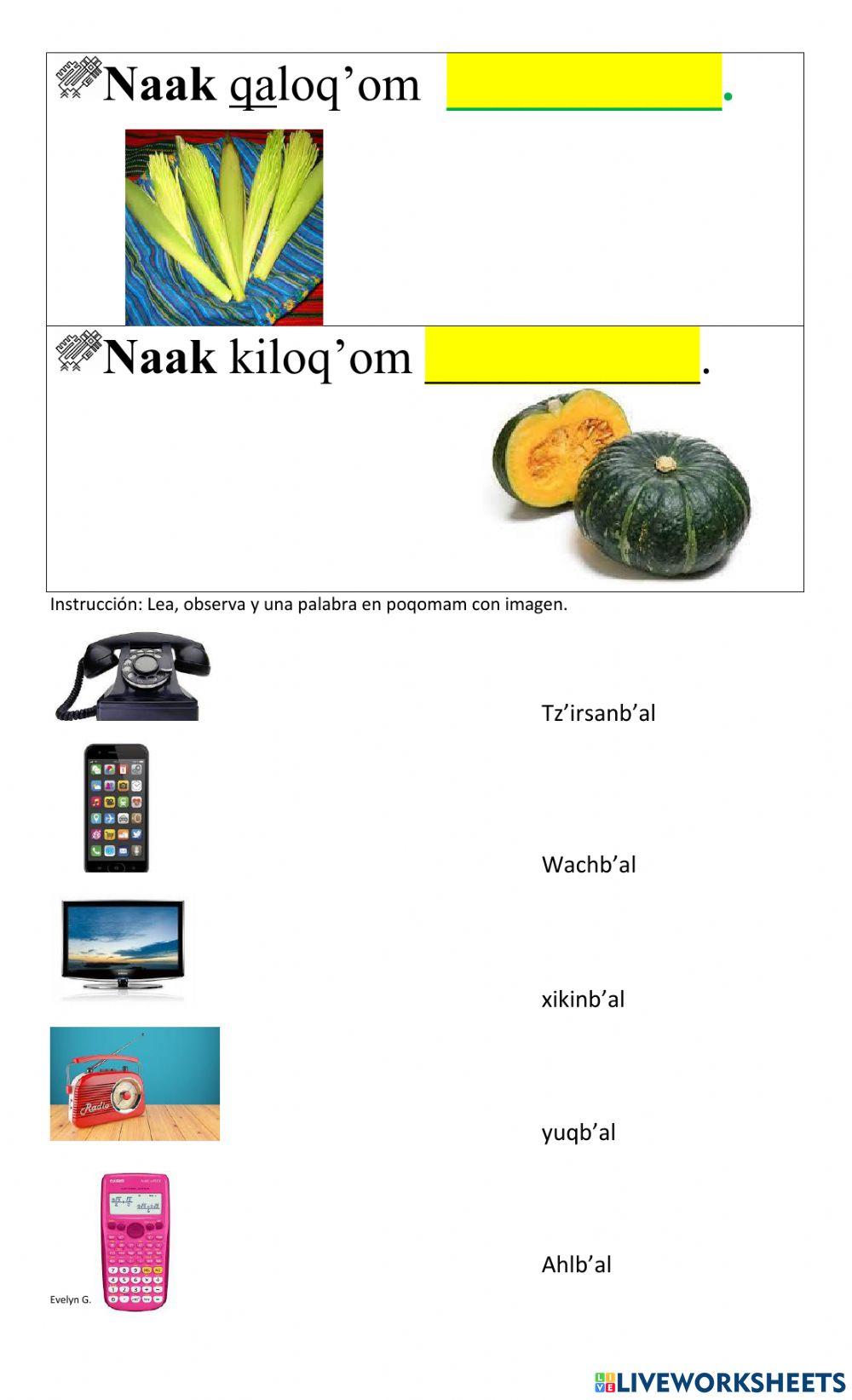 Plantas y verduras en poqomam